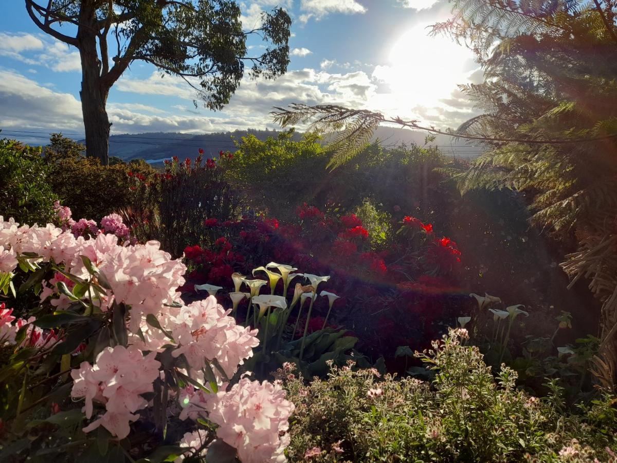 Hillside Bed And Breakfast Huonville Exterior foto