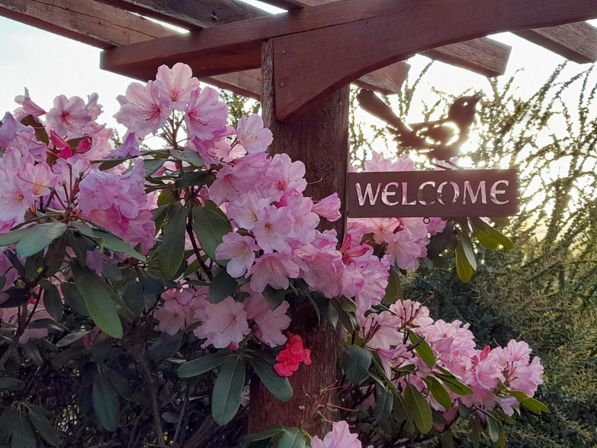 Hillside Bed And Breakfast Huonville Exterior foto