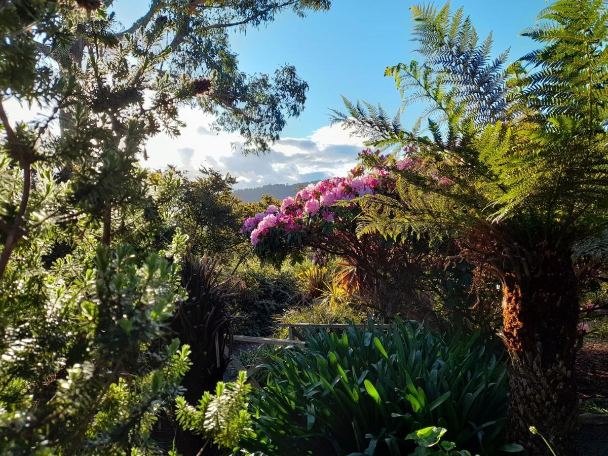 Hillside Bed And Breakfast Huonville Exterior foto